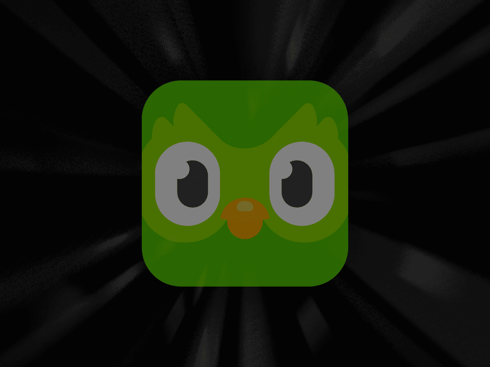 Duolingo